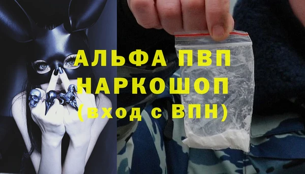 молекула духа Покачи