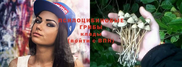 гидропоника Покровск