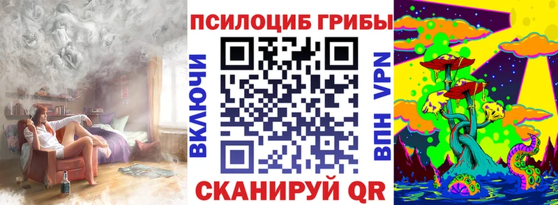 Галлюциногенные грибы Psilocybine cubensis Суоярви